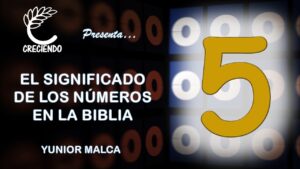5 en la Biblia: Descubriendo el Significado Numérico en los Versículos Sagrados