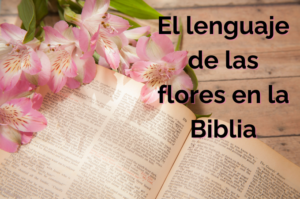 5 Plantas Mencionadas en la Biblia: Descubre su Significado y Simbolismo