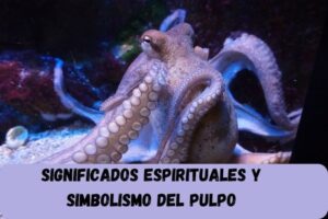 Animales en la Biblia y Su Significado: Un Fascinante Viaje Espiritual y Simbólico
