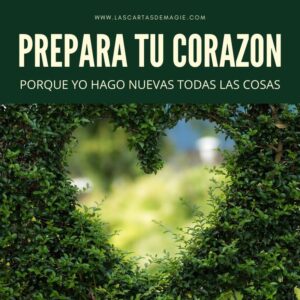 Barbecho en la Biblia: Una Profunda Mirada al Significado Agrícola y Espiritual en las Sagradas Escrituras