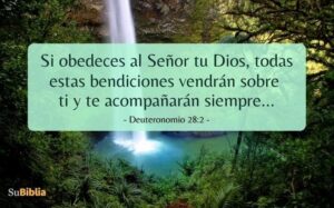 Bienaventurada en la Biblia: Descubriendo el Poder y Significado de esta Bendición Divina