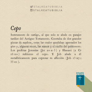 Cepo en la Biblia: Un Análisis Profundo de su Significado y Referencias Bíblicas