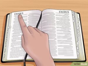 Como encontrar un versículo en la Biblia: Guía completa para localizar tus pasajes bíblicos favoritos