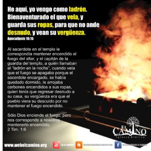 Como ladrón en la noche en la Biblia: Profundo análisis y significado de esta enigmática frase bíblica