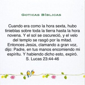 ¿Cuál es la Hora Sexta y Novena en la Biblia? Desciframos el Misterio del Tiempo Bíblico