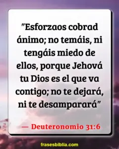 Desamor en la Biblia: Versículos que Nos Ayudan a Entender y Superar esta Emoción