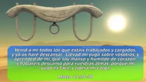 ¿Dónde dice en la Biblia ‘Mi Yugo es Fácil’? Encuentra el Versículo Clave y su Significado