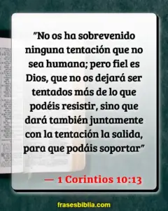 Donde está el libre albedrío en la Biblia: Exploración detallada a través de los versículos bíblicos