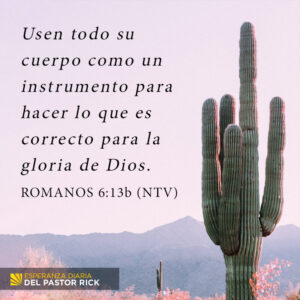 Dones en la Biblia: Descubre Su Significado y Cómo Desarrollarlos Según la Palabra de Dios