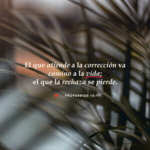 Ejemplos de Corrección en la Biblia: Un Análisis Detallado de Consejos Divinos