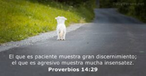 Ejemplos de Paciencia en la Biblia: Inspiración Divina para Nuestra Vida Cotidiana