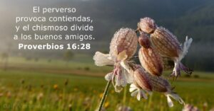 El Chisme en la Biblia: Descubre lo que Realmente Dice la Palabra de Dios sobre los Rumores y Murmuraciones