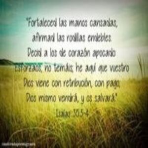 El Desanimo en la Biblia: Cómo Enfrentarlo Según las Sagradas Escrituras