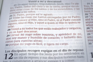 El Señor del Sábado en la Biblia: Profundo Análisis y Significado