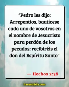 Embajadores en la Biblia: Un Profundo Análisis de su Importante Rol y Significado Según las Escrituras