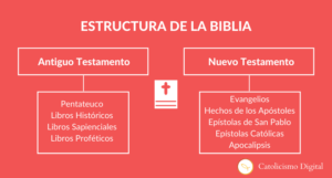 En Cuántas Partes se Divide la Biblia Católica: Un Recorrido Completo por sus Libros y Secciones