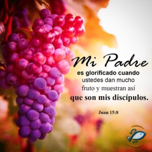 En la Viña del Señor Biblia: Descubriendo la Profundidad de esta Metafórica Frase Bíblica