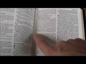 En qué parte de la Biblia dice: Guía definitiva para encontrar versículos bíblicos
