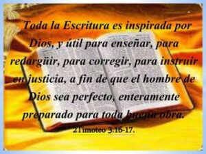 En qué parte de la Biblia habla: Una guía completa para encontrar versículos y pasajes bíblicos