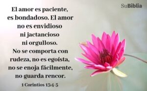 Frases de Amor en la Biblia: Descubriendo los Versículos Más Hermosos y Significativos