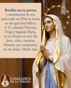 Frases de la Virgen María en la Biblia: Reflexiones profundas y Sabiduría Celestial