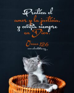 Gatos en la Biblia Versículos: Descubre los Pasajes Bíblicos que Mencionan a estos Misteriosos Animales