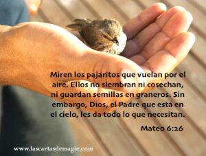 Gorrion en la Biblia: La Profunda Simbología de este Humilde Pájaro en las Sagradas Escrituras