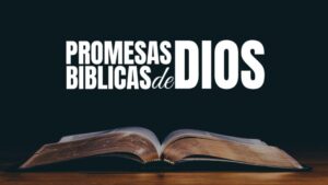 Hay una Promesa en la Biblia Letra: Descubre el Poder de las Palabras Sagradas
