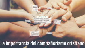 Koinonia en la Biblia: Entendiendo la Importancia del Compañerismo Cristiano Según las Escrituras