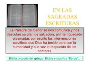 La Conciencia en la Biblia: Un Profundo Análisis sobre la Guía Moral en las Escrituras Sagradas