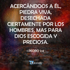Las Piedras Hablarán en la Biblia: Un Análisis Bíblico Profundo de Este Fascinante Versículo