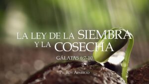 Ley de la Siembra y la Cosecha en la Biblia: Entendiendo esta Propuesta Bíblica Fundamental