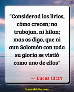 Lirio en la Biblia: Versículos que Revelan su Importancia y Simbolismo