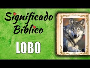 Lobo en la Biblia: ¿Qué Significa este Símbolo Bíblico Tan Misterioso?