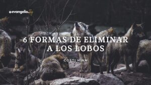 Lobos Rapaces en la Biblia: Un Análisis Profundo sobre su Significado