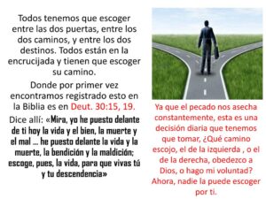 Los Dos Caminos en la Biblia: Un Análisis Profundo sobre esta Enseñanza Divina