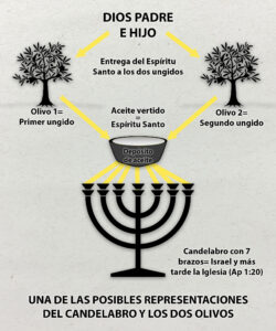 Los Dos Olivos en la Biblia: Profundo Análisis y Significado Revelado