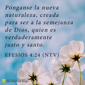 Madurez Espiritual en la Biblia: Versículos Clave para tu Crecimiento Interior