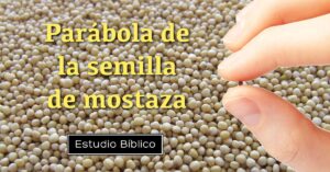 Mostaza en la Biblia: Revelando el Poderoso Simbolismo de esta Efímera Semilla