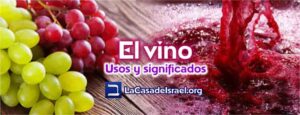 Mosto en la Biblia: Significado y Simbolismo en las Sagradas Escrituras