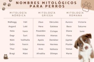 Nombres de Perros en la Biblia: Descubre las Inspiraciones Caninas más Sagradas