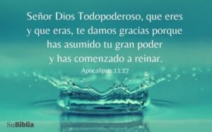Oración de Acción de Gracias en la Biblia: Descubre las Poderosas Claves Bíblicas para Expresar Gratitud