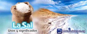 Para qué usaban la sal en la Biblia: Importancia y Significado Bíblico de la Sal