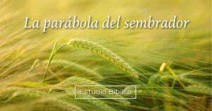 Parábola del Sembrador en la Biblia: Profundo Análisis e Interpretación en Español