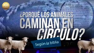 Porqué los animales dan vueltas en círculos en la Biblia: Un análisis profundo desde la perspectiva bíblica