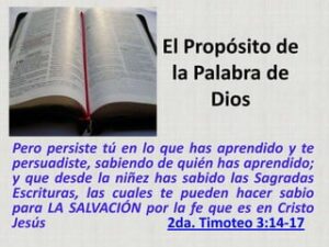 Propósito en la Biblia: Descubriendo el Sentido de la Vida Según las Sagradas Escrituras