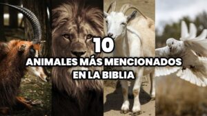 ¿Qué Animales Hablaron en la Biblia? Descubre los Fascinantes Relatos Bíblicos sobre Animales Parlantes