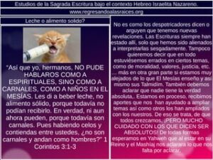 Qué es Alimento Sólido en la Biblia: Una Guía Completa para Entender su Significado