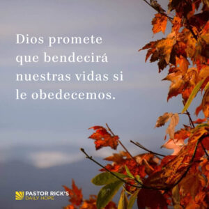 ¿Qué es Bendición en la Biblia? Descifrando el Misterio de las Bendiciones Bíblicas