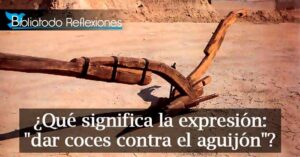 Qué es Coces en la Biblia: Explorando su Significado y Contexto Bíblico
